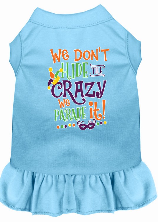 We Don't Hide the Crazy Screen Print Mardi Gras Dog Dress Baby Blue Med